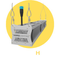 Model H Landing Page Graphic